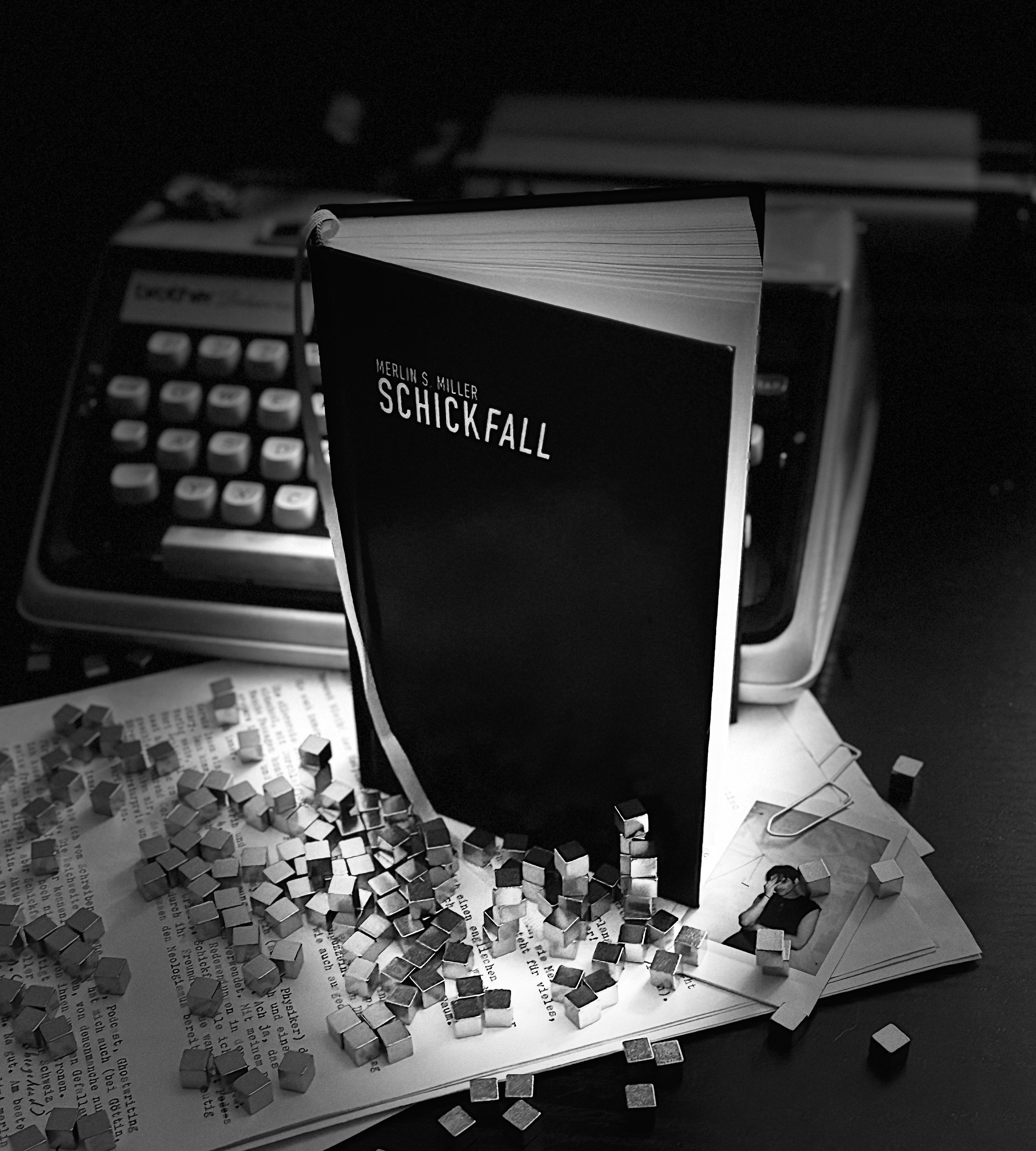 SCHICKFALL - Die letzte, echte Geschichte (Pre-Release Edition)